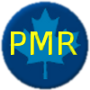 PMR Professional Services Inc.