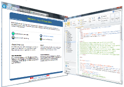 Website Development